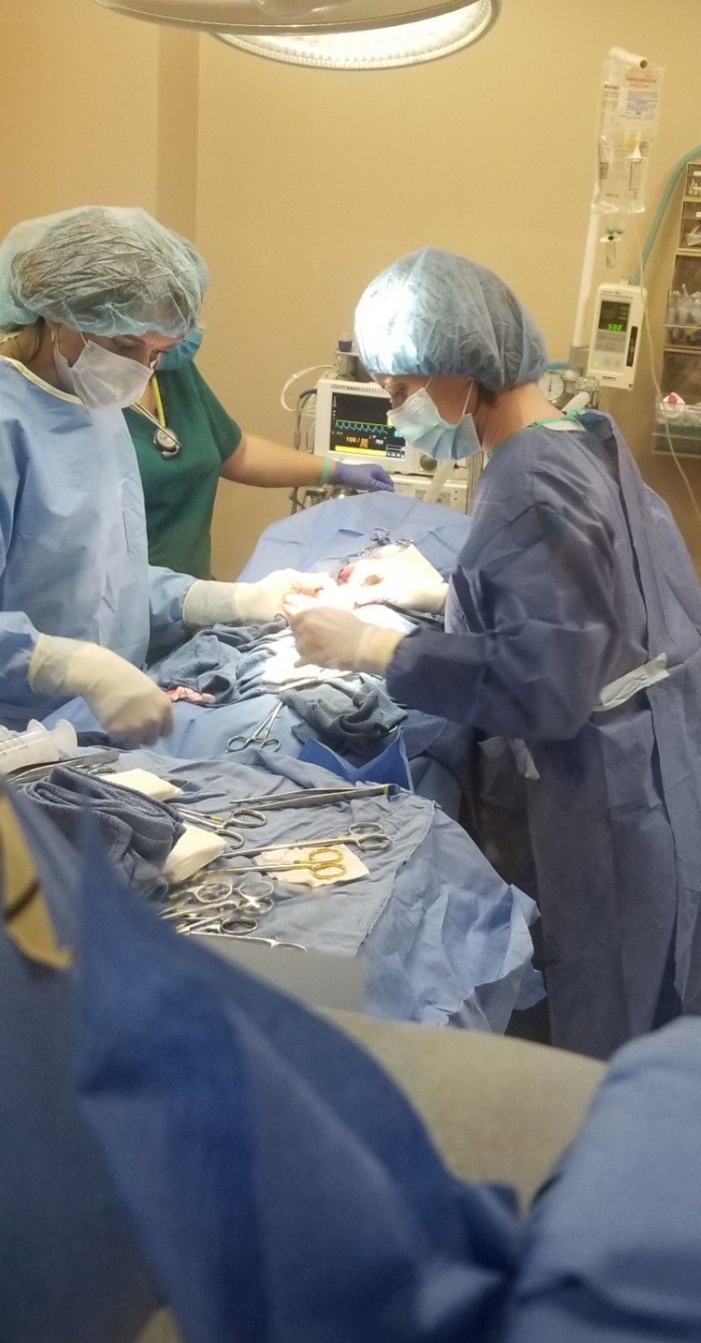 in surgery
